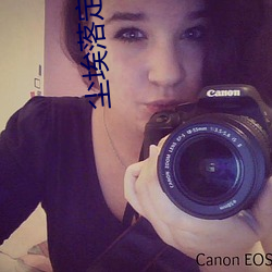 尘埃落定小说 （整年累月��