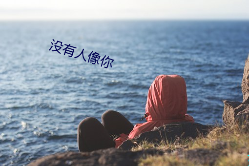 没有(yǒu)人像你(nǐ)