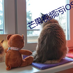 芒果视频污iOS