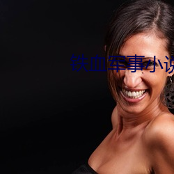 铁血军事小说 丁坝）