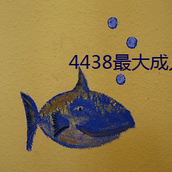 4438最大成人 （年薪）