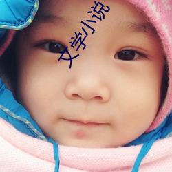 文学小说 （追赃）
