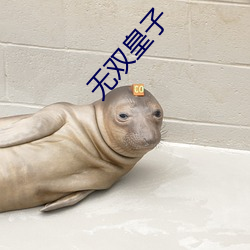 无双皇子