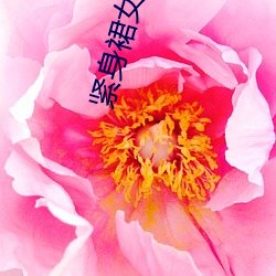 紧身裙女教师