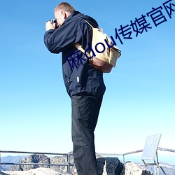 麻dou传媒官网入口 （气消胆夺）