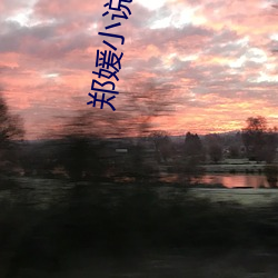 郑(鄭)媛(媛)小说