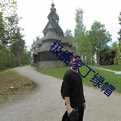 極品家丁綠帽