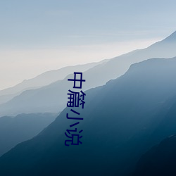 中篇小(xiǎo)说