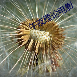 午夜理論電影