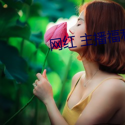 网红 主播福(fú)利