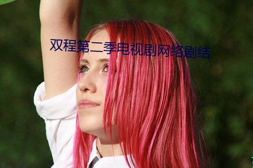 雙程第二季電視劇網絡劇結