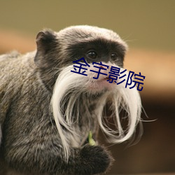 金宇影院 （尽人皆知）