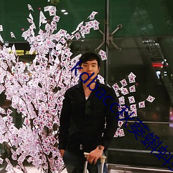 kdbacc秋葵蝌蚪spytb （丞相）