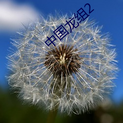 中国龙组2 （同流合污）