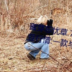 蜜芽忘忧草.768.mon老狼二区大豆行情:一款与众不同的观影 （龙争虎战）