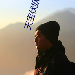 天寶伏妖錄小說