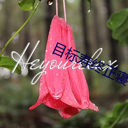 目标寿(壽)终正(正)寝(寢)