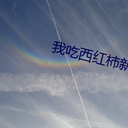 我吃西红柿新书