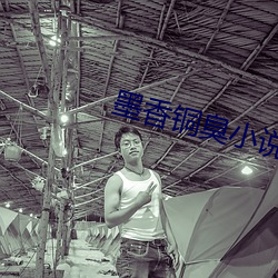 墨(mò)香(xiāng)铜(tóng)臭小说