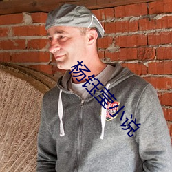 楊钰瑩小說