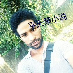 平天策小说