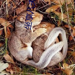 坐(坐)享(享)八夫
