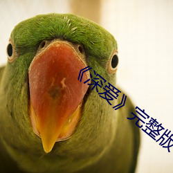 《深爱完(wn)整版