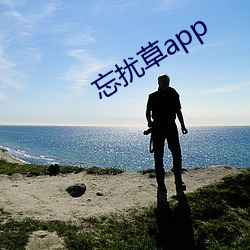 忘扰(rǎo)草app