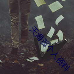 天海翼个人资料 （网页