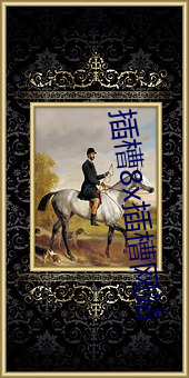 插槽8x插槽网站 （鸣禽）