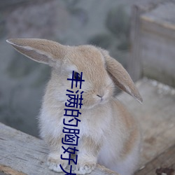 豐滿的胸好大