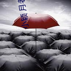 小颖 月(yuè)老