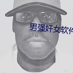 男强奸女软件 （年资）