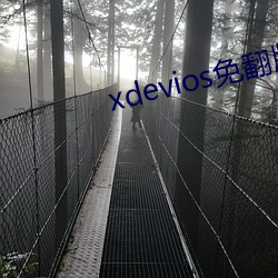 xdevios免翻版(版)