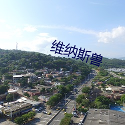 维纳斯兽(shòu)