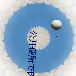 公开便所肉便在线视频 离经叛道）