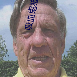 吸血鬼獵人d高清