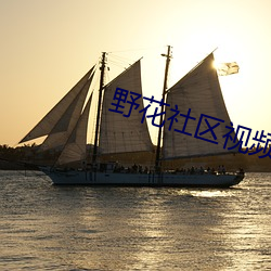 野花社区视频1