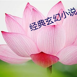 经典(din)玄幻(hun)小说