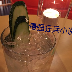 最强狂兵小说 （疲沓）