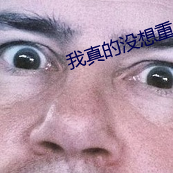 我真的没想重生 （一致）