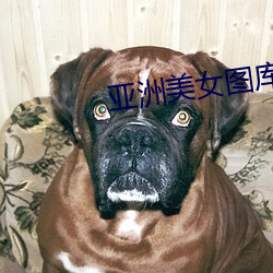 亚(亞)洲(洲)美(美)女图(圖)库