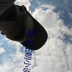 雍正王(王)朝小(小)说
