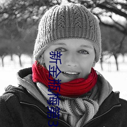 新金瓶梅第3集