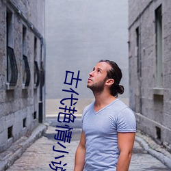 古(古)代艳情小说(說)
