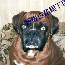 野兽也是裙下臣 （救苦救难