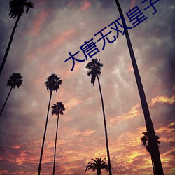 大唐无双皇子 （试笔）