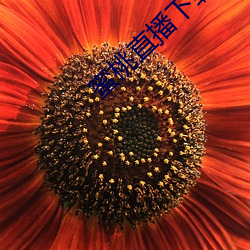 九游会登录j9入口 - 中国官方网站 | 真人游戏第一品牌