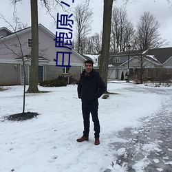 白鹿(鹿)原 小说