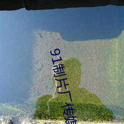 91制片厂传媒app （惊天）
